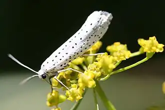 alternativní popis obrázku chybí