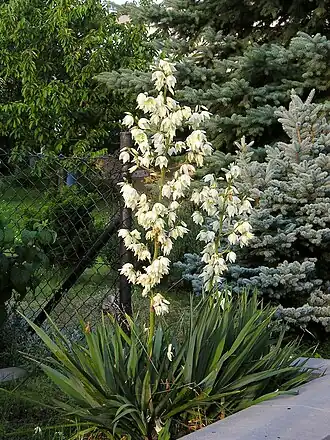 alternativní popis obrázku chybí