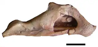 alternativní popis obrázku chybí