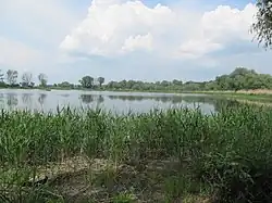 Záhlinické rybníky