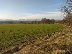 Záhumenice - pohled na Moravskou bránu a Moravskoslezské Beskydy