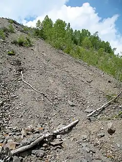 Halda bývalého uranového dolu Eva v osadě Zálesí na katastru Mariánské u Jáchymova