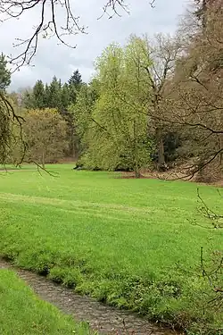 Jesenický potok v Průhonickém parku