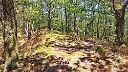 Vrchol Zámeckého vrchu