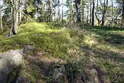 vrcholová partie Zámeckého vrchu