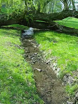 Ctěnický potok v zámeckém parku Ctěnice