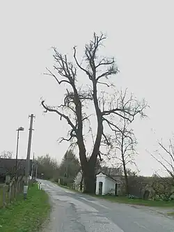 Celkový pohled na kapličku v Zásadce