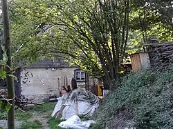 Záskalí - Buršín če. 12.jpg