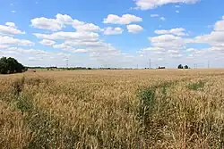 Pole v místech bývalé vesnice