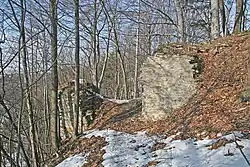 Zřícenina Výrov.jpg