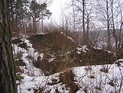 Zřícenina hradu Velešín