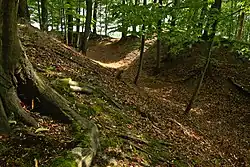 Zřícenina hradu Líšnice (02).jpg