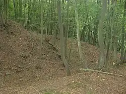 Zřícenina hradu Ostromeč (2).jpg