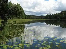 Jezero Miłaczewo u Dretyńa