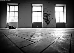 Z cyklu Opustena mista