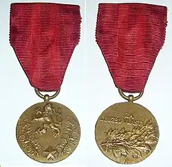 Medaile Za službu vlasti