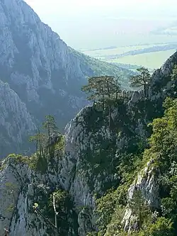 Pohled ze soutěsky k jejímu ústí do Turnianské kotliny