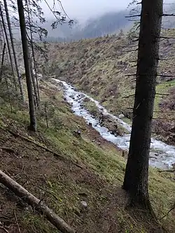 pohled na Zadnou vodu od Vrbického plesa