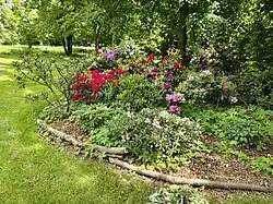 Záhon kvetoucích keřů