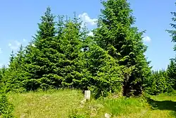 Vrchol s geodetickým bodem v červnu 2018