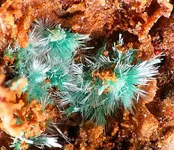 zelenomodré jehlice zálesíitu z lokality Pastrana ve Španělsku