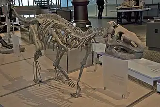 alternativní popis obrázku chybí