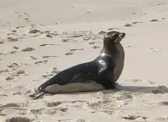 alternativní popis obrázku chybí