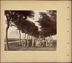 The Pests of the Pyramids, sbírka Boston Public Library