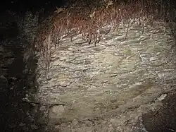 Kolmý skalní sráz