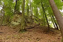 Skalní ostroh, kde zhruba stával hrad Zbyny