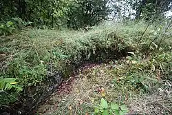 Zdivo obytné věže