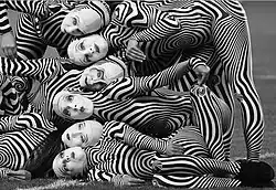 Fotografie Zebry, oceněná bronzovou medailí v roce 2015 na mezinárodním salonu digitálních fotografií v Srbsku[8]