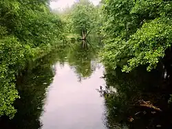 Horní tok řeky Žeimena u Kaltanėnů