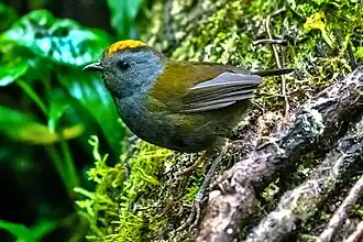 alternativní popis obrázku chybí