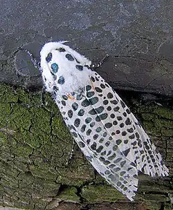 alternativní popis obrázku chybí