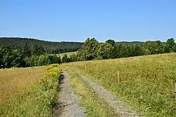 Javorná od Zhůřských hnízdišť