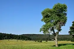 Jižní část chráněného území