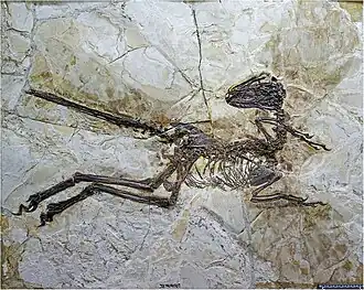 alternativní popis obrázku chybí