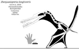 popis obrázku chybí