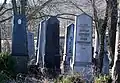 Skupina modernějších náhrobků na židovském hřbitově v Litni