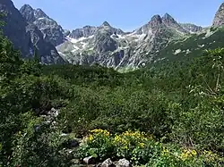 Dolina Zeleného plesa