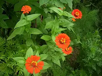 alternativní popis obrázku chybí