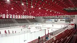 ledová plocha stadionu