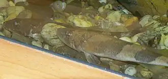 alternativní popis obrázku chybí