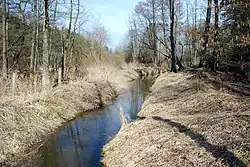 Zlatá stoka poblíž Lomnice nad Lužnicí