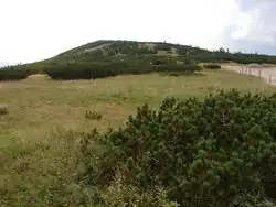 Zlaté návrší od Vrbatovy boudy