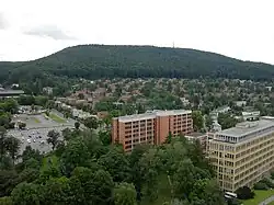 Tlustá hora nad zlínskou čtvrtí Letná