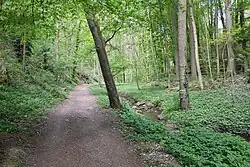 Údolí Gránického potoka ve Znojmě