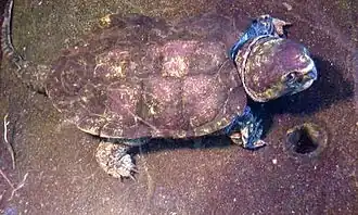 alternativní popis obrázku chybí