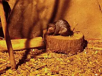 alternativní popis obrázku chybí